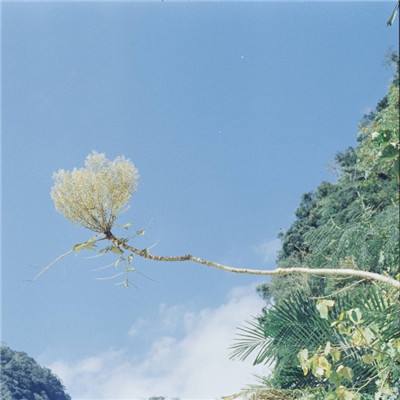 爱游戏全站APP入口苹果版app下载