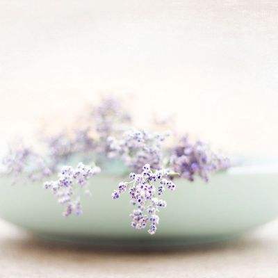 半岛官方下载地址