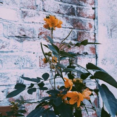 澳门威尼斯人软件